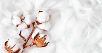 Füllmaterial Kissen Weißes weiches Füllmaterial für Kissen