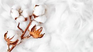 Weißes weiches Füllmaterial für Kissen